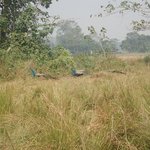 Photo taken by Katherine J