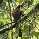 Photo taken by Chris G