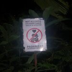 Photo taken by Jacob S