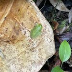 Photo taken by Chakrapani S