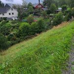 Photo taken by Tamara N