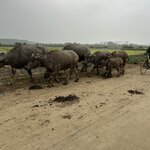 Photo taken by Susan R