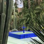 Photo taken by Cynthia F