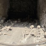 Photo taken by Stephen P