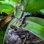 Photo taken by Linda P