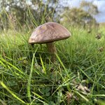 Photo taken by Jake B