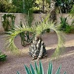 Photo taken by N.J. P