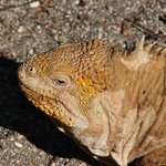 Photo taken by Natascia V