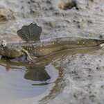 Photo taken by John Mark W