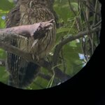 Photo taken by Jaya C