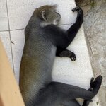 Photo taken by Gabrielle A