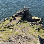 Photo taken by John O