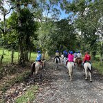 Photo taken by Victoria C