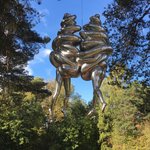 Photo taken by Michelle J