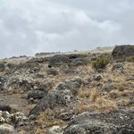 Photo taken by Michael L