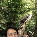 Another bridge | Photo taken by Elisa M