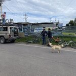 Photo taken by Mick K