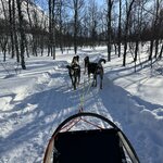 Photo taken by Tracy K