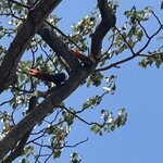 Photo taken by Bonnie Y