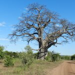 Photo taken by Linette B