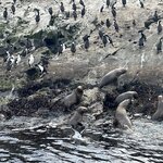 Photo taken by Rebecca B