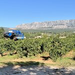 Photo taken by Sarah M