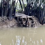 Photo taken by Vanessa V