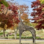 Photo taken by Annie A