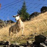 Photo taken by Sharon S