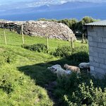 Photo taken by Kerrick M