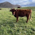 Photo taken by Danielle P