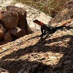 Photo taken by Nigel R