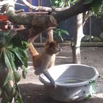 Photo taken by Claudia S