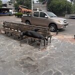 Photo taken by Ben S