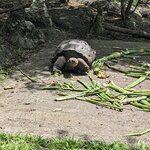 Photo taken by mimi s