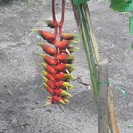 Photo taken by Claudia S