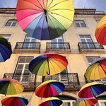 Photo taken by Michelle L