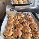 Photo taken by Shamma L