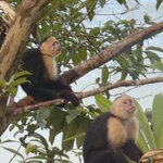 Photo taken by Steven C