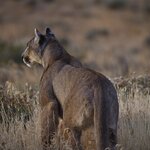 Photo taken by Martine B