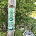 Photo taken by Ronda O