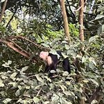 Photo taken by Barb S