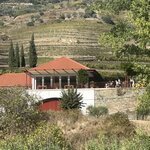 Photo taken by Sandy S