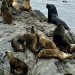 Photo taken by Donna W