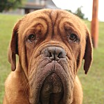 Photo taken by Marcia G