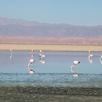 Photo taken by Jananee J