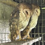 Photo taken by Sharon J