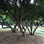 Photo taken by Dianne W