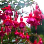 Photo taken by Eric T