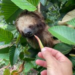 Photo taken by Angel V